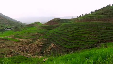 Green-field-between-mountains-in-Ethiopia,-Africa