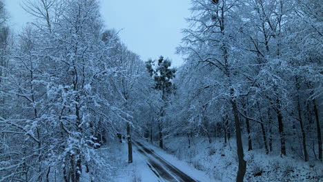 Asphalt-Road-Surrounded-With-Trees-Covered-With-Snow-In-Winter-In-Pieszkowo,-Poland