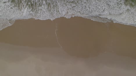 Aerial-top-down-shot-of-the-beautiful-generic-sandy-beach,-bird's-eye-view-of-ocean-waves-crashing-against-an-empty-beach-from-above,-Nazare,-Portugal