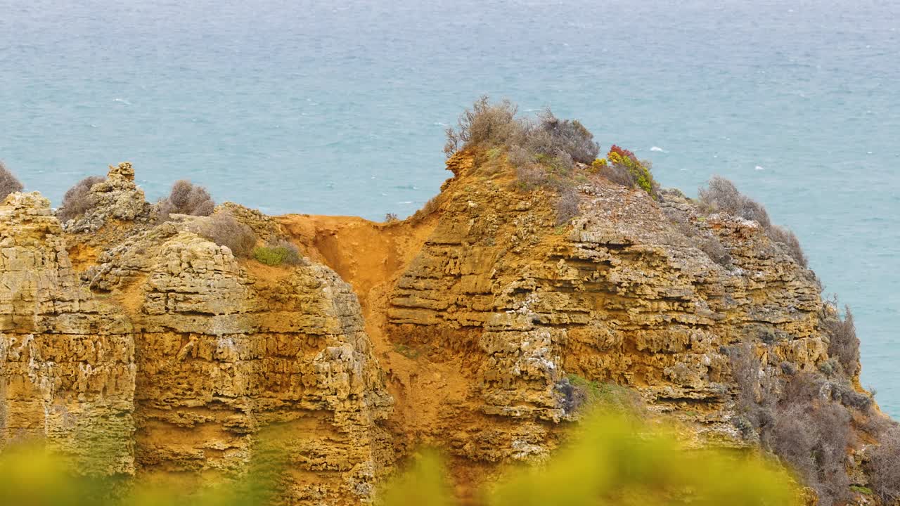 Golden cliffs with sparse vegetation against a blue ocean backdrop. Soft lighting enhances the natural beauty and serene atmosphere