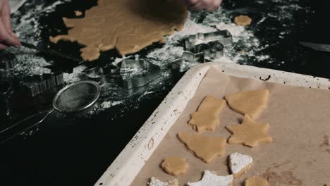 different shape cookies on bakery pan