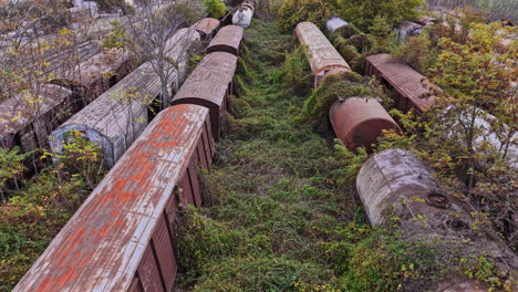 abandoned railway cars overgrown by nature in greece