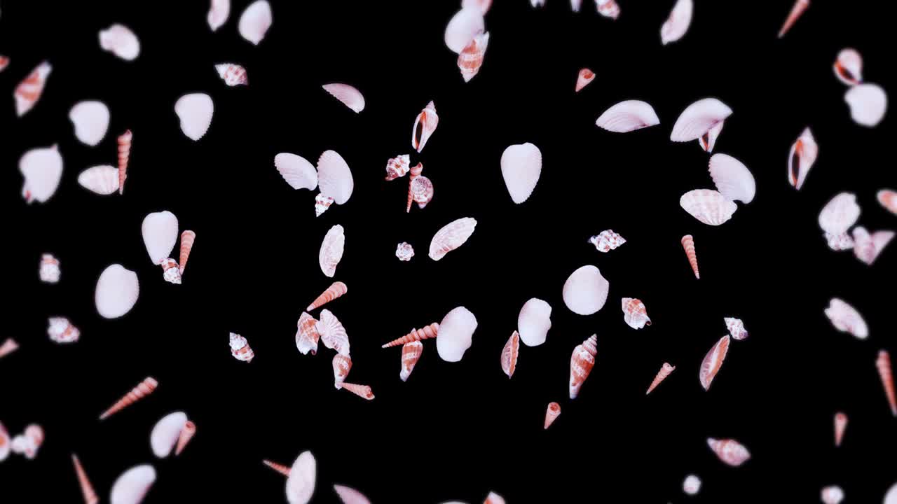 검은 바탕에 많은 바다 데기를 날아. 현실적인 조개 모양의 컬렉션. 열대 수중. 회전하는 데기의 3d 루프 애니메이션.