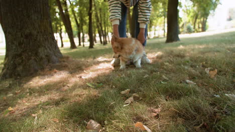 Woman-with-dog-at-the-park