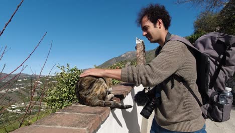 male tourist with camera playing with feral cat on top of wall