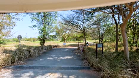 scenic golf course path with golf cart