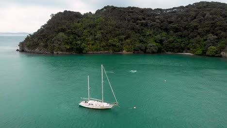 Aerial-drone-moves-sideways-over-a-beautiful-bay,-showing-a-white-boat-and-dolphins