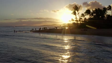 4K cinematic aerial drone shot tilting up in slow motion to reveal a silhouetted beach scene with sun flares coming through palm trees as tourist watch sea turtles on Poipu Beach, Kauai, Hawaii