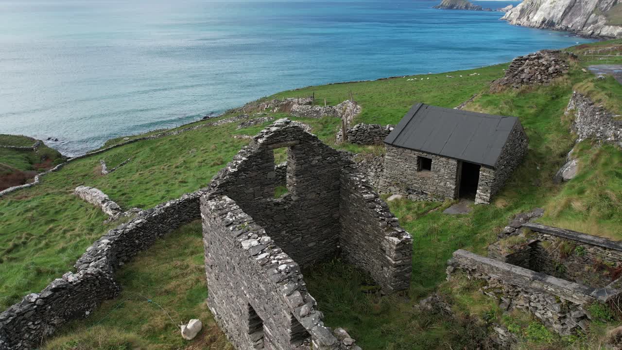 Epic Ireland drone flying over ruins of farm with blanket Islands Slea head Kerry in autumn in the Kingdom