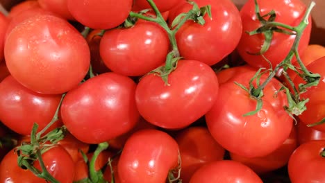 ripe red tomatoes lie in a box in the supermarket. slow camera movement.