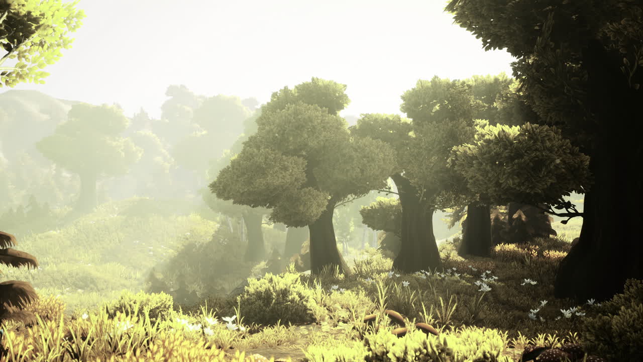 Bright sunlight filters through lush trees in a tranquil forest setting