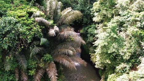 tibumana waterfall bali indonesia film from drone