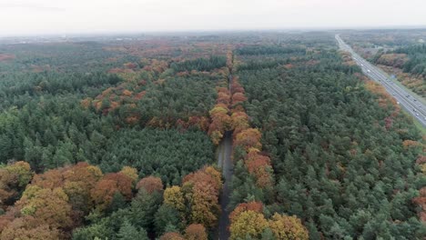 drone shot of two roads in a forest at fall autumn time