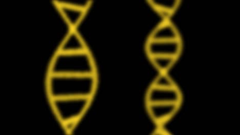 animación 2d de dos adn compuestos de partículas en un fondo negro. 60 fps. el objeto es vertical. el enfoque se mueve de la parte delantera a la parte trasera.