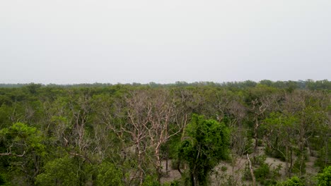 Sundarban,Bangladesh,-a-UNESCO-world-heritage-site,-worlds-largest-mangrove-forest