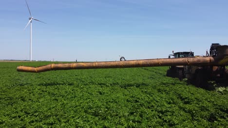 tractor rociando el campo de patatas con pesticida