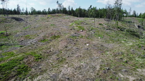 hillside of pine trees that have been clear cut, forestry industry operations, pan