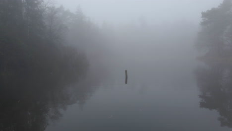 dolly of wooden stump sticking out of mist covered river