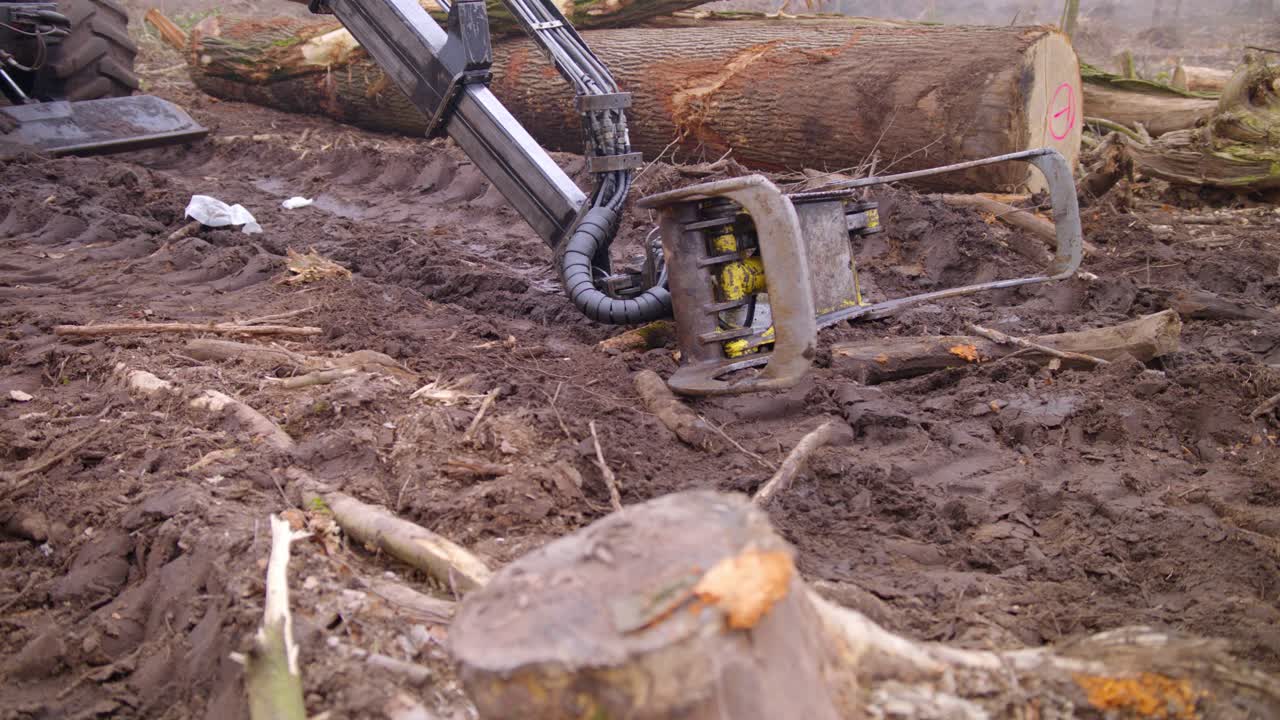 Shot of a tree excavator in the middle of a destroyed forest.