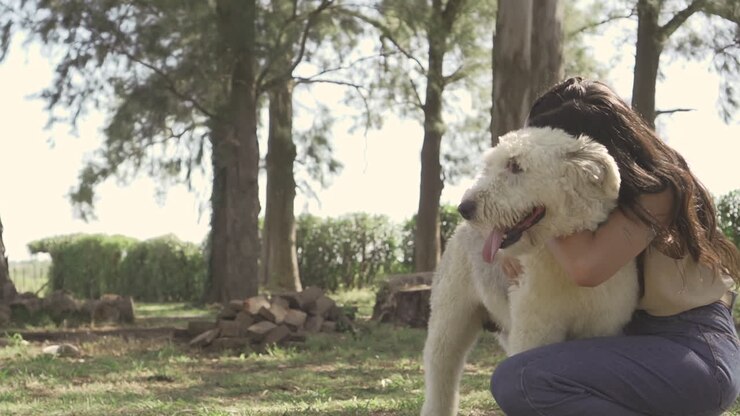 Young Woman Pets And Hugs A Big Dog Outdoor