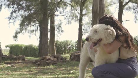 mujer joven acaricia y abraza a un perro grande al aire libre