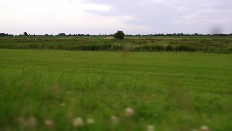paisaje plano sin personas y casas en el norte de alemania