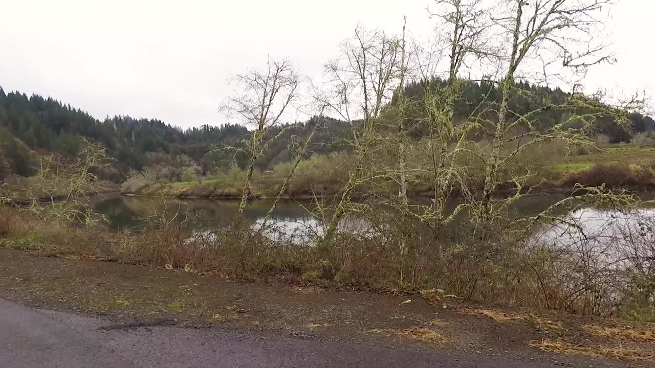 아름다운 강 옆에서 드라이브