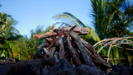 Slomotion-Großes-Lagerfeuer-Tagsüber-Mit-Palmen-Dahinter