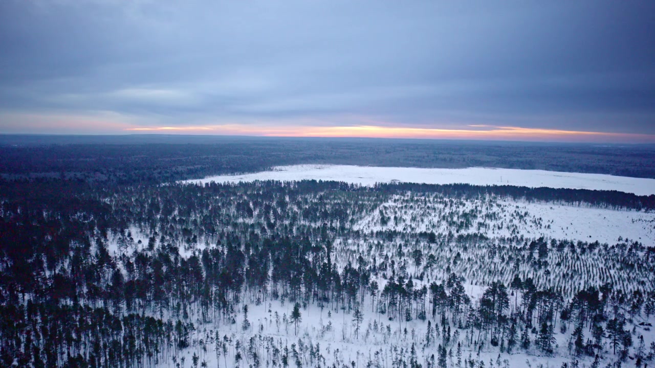 Scenic aerial footage of winter evergreen forests across the snowy landscapes of northern Michigan