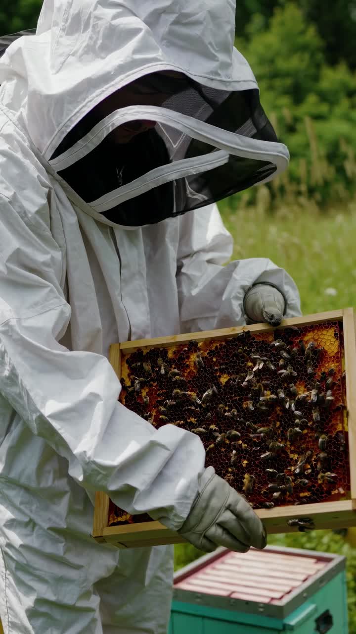 Fermo immagine ravvicinato di un video di un apicoltore che tiene in mano un favo. La ripresa dal basso cattura le api