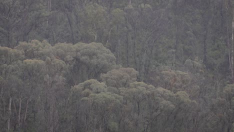 Lluvia-Y-Nubes-En-El-Interior-Regional-De-Nueva-Gales-Del-Sur