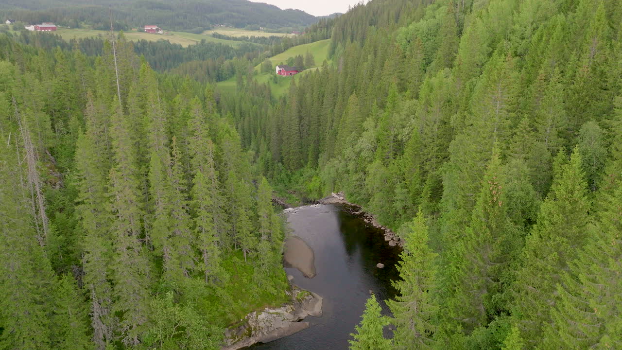 Over flod der strømmer mod Storfossen vandfald omgivet af stedsegrønne fyrretræer
