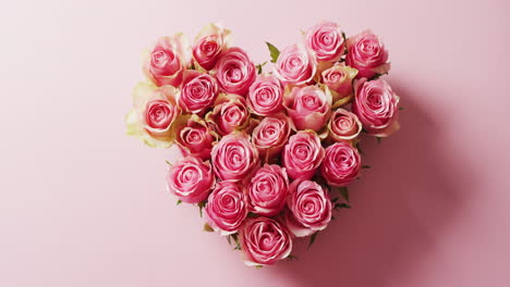 overhead video of a heart shaped bouquet of pink roses on pink background