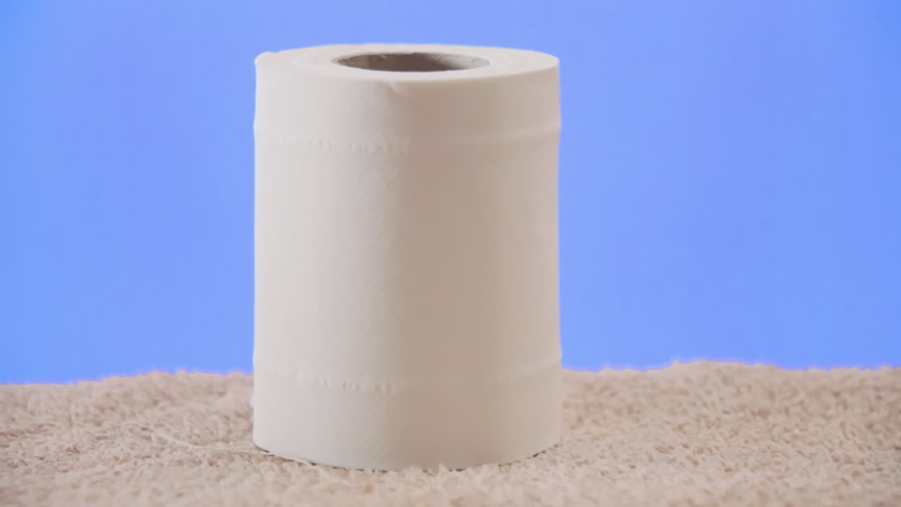 Picking many sheets from a good toilet paper roll, almost full and unused, left on a towel, while in the bathroom