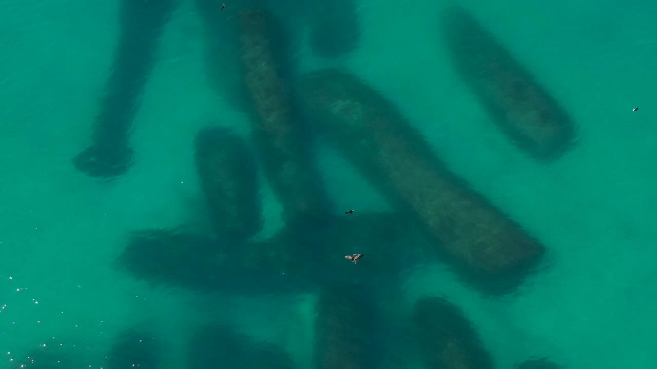 Aerial footage of sea birds sitting above an artificial reef