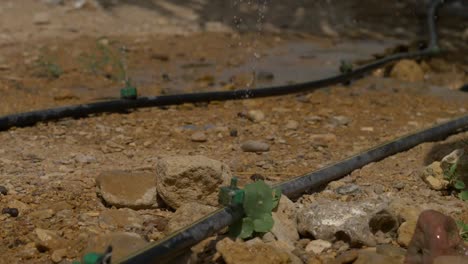 Footage-Of-Sprinkler-Irrigation-On-Farm-Laid-Out-On-Ground