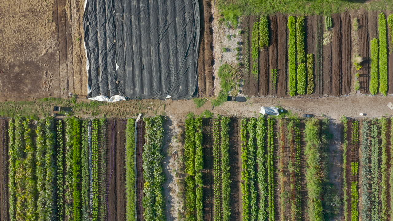커뮤니티 가든은 정원사가 협력하기 위해 오는 지역 인근 지역 상공을 비행합니다.