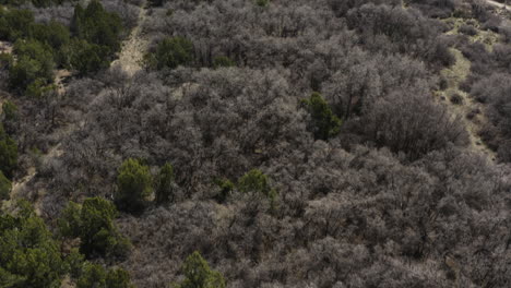 cabin in the beautiful wilderness mountains of utah, usa - aerial