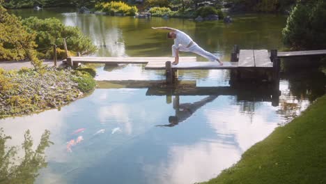 school of colourful koi fishes swim towards white