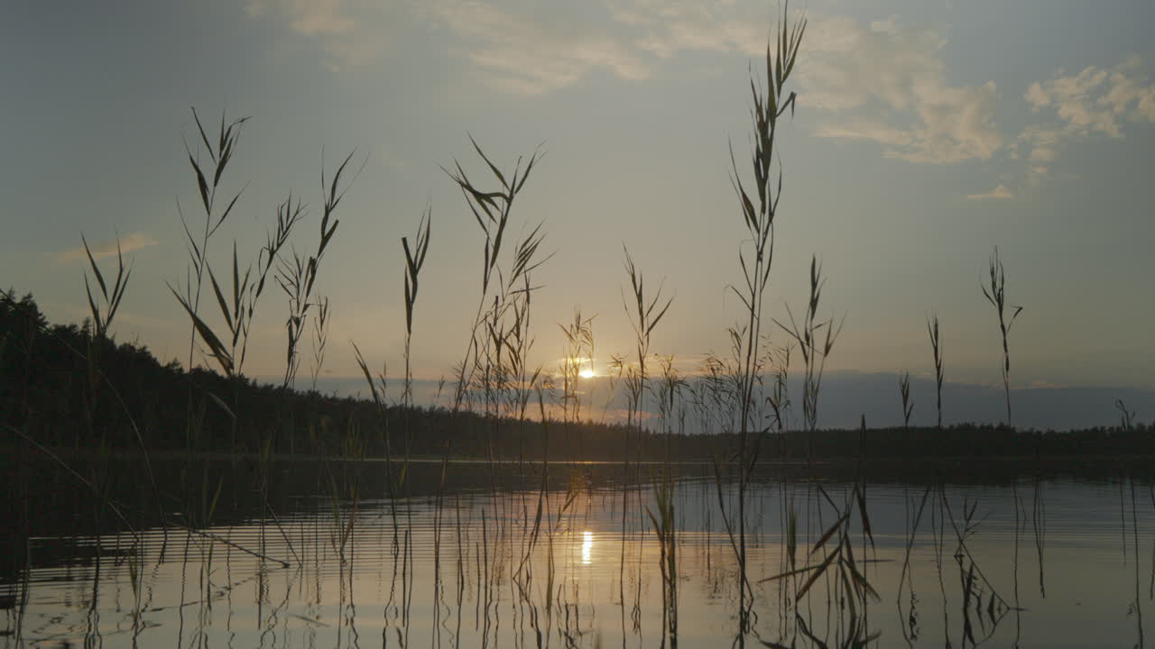Tranquil lake at sunset with tall reeds swaying in foreground and sun reflecting on the water's surface. Peaceful nature scene. Golden light and distant treeline.
Establishing shot.