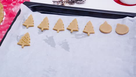 young women placing cut out gingerbread cookies on white baking paper in baking tray