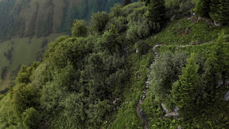 Top-Down-View-of-Lone-Trekker-Walking-Up-Along-Mountain-Trail-at-Sunrise