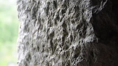 Bumpy-Stone-Wall-Extreme-Close-Up-Depth-of-Field