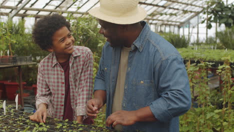 black farmer working in greenhouse with little son