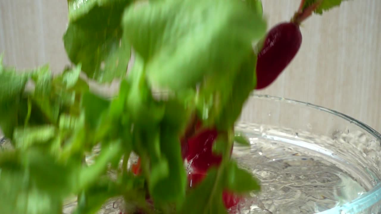 Falling of fruits of a radish in a bowl with water. Slow motion