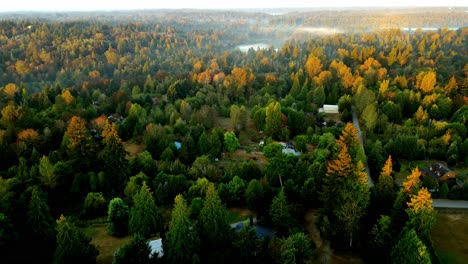 Filmische-Enthüllung-Eines-Luxuriösen-Wohnhauses-Im-Wald-Von-Renton-Washington-4k-Luftdrohne