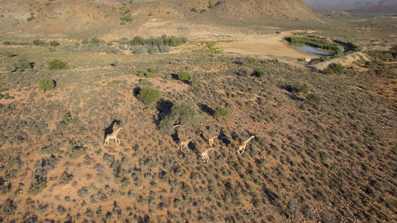 자유롭게 달리다