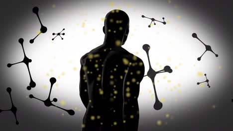 Animation-of-connections-with-spots,-molecules-and-human-body