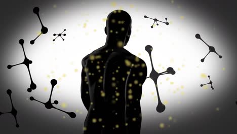 animación de conexiones con manchas, moléculas y cuerpo humano