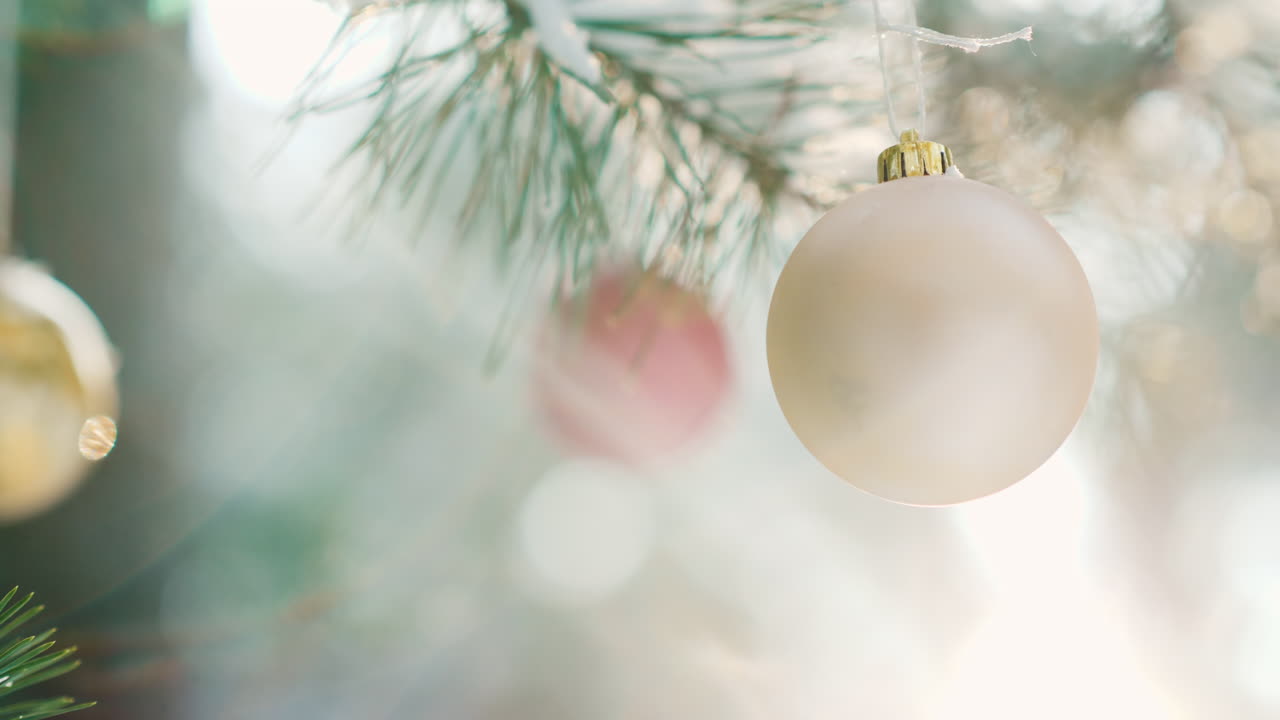 bolas de navidad cuelgan de una rama verde de un árbol de año nuevo en un bosque de invierno al atardecer